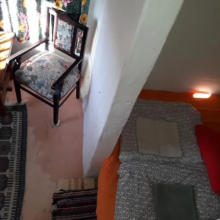 Homestay Camino Art House *