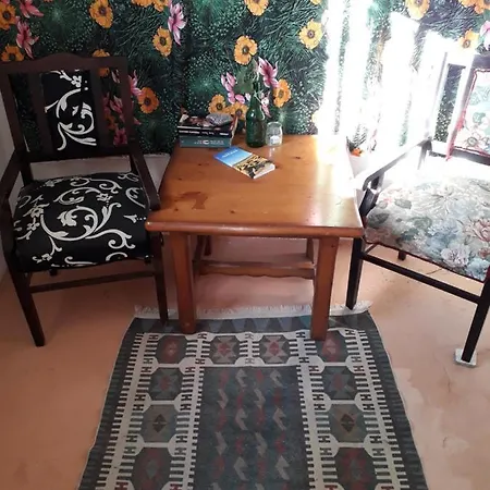Camino Art House Homestay *