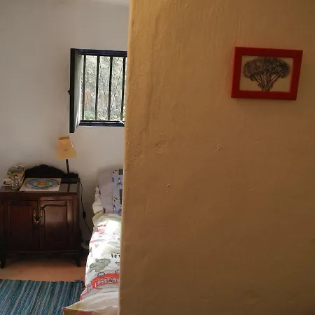 Homestay Camino Art House *