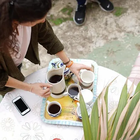 Homestay Camino Art House