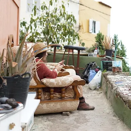 Homestay Camino Art House *
