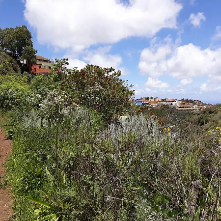 Homestay Camino Art House Vega de San Mateo