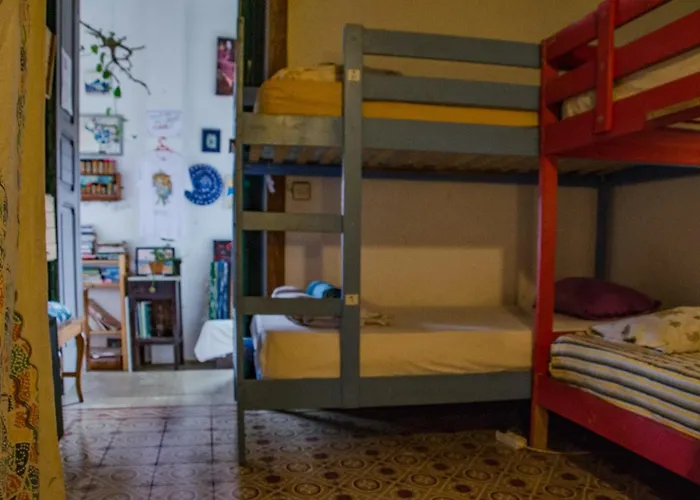 Camino Art House *